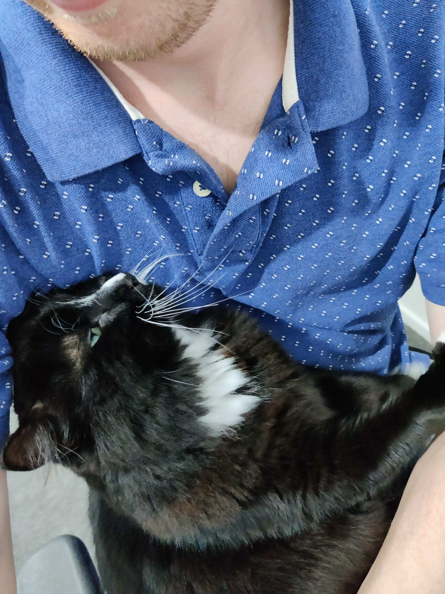 Brandy, Leyla, And Toby Have Arrived Safely In New Zealand 🐶🐈🐶🇳🇿