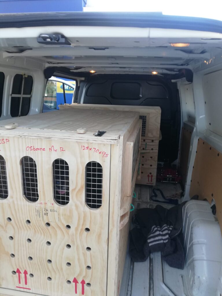 Petwheels: From Johannesburg to Hartswater and Back in One Day 🐈🐇🚐🐕🦜