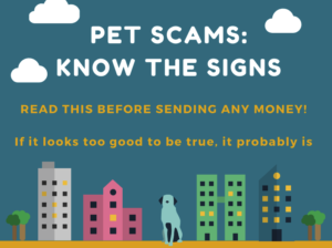 PET SCAMMERS – WARNING ‼️
